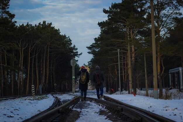 Seasonal Window: Optimal Months for Northern Lights, Snow Activities, and Polar Day/Night Balance