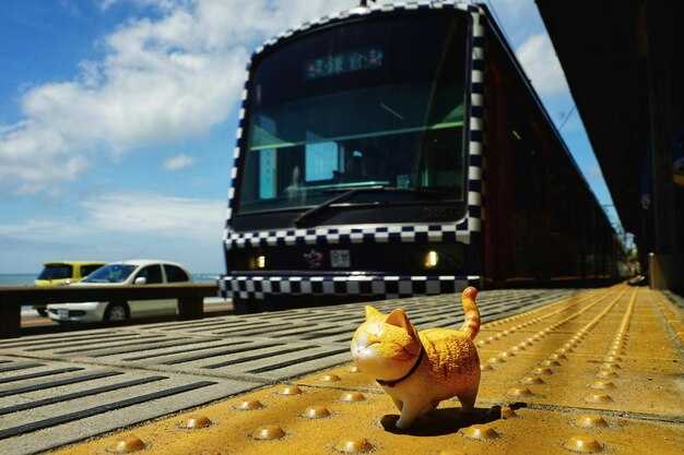 Rideshare vs taxi: pricing ranges, pickup points, and how to avoid surge