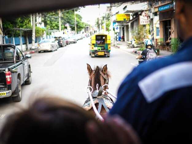 Ride-Hailing and Private Cars