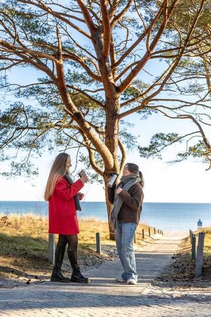 On-the-Road Logistics: Tolls, Fuel, Breaks, and Timing for the Normandy Crossing