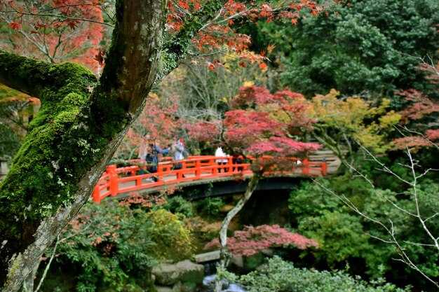 Fastest routes between sites