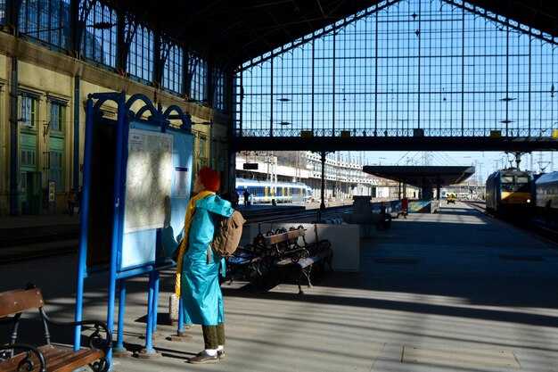 Practical Tips for Luggage, Accessibility, and Language at the Airport