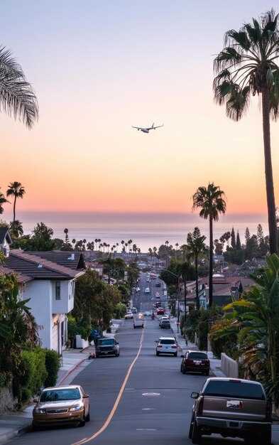 Safety and Professional Standards: Driver Credentials, Insurance, and Cleanliness