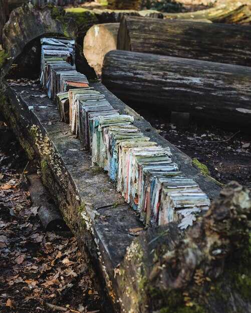 Proceedings of the Royal Irish Academy: Archaeology, Culture, 歴史 & Literature