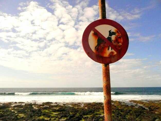 Puerto Escondido Safety Guide - Essential Travel Safety Tips for Visitors