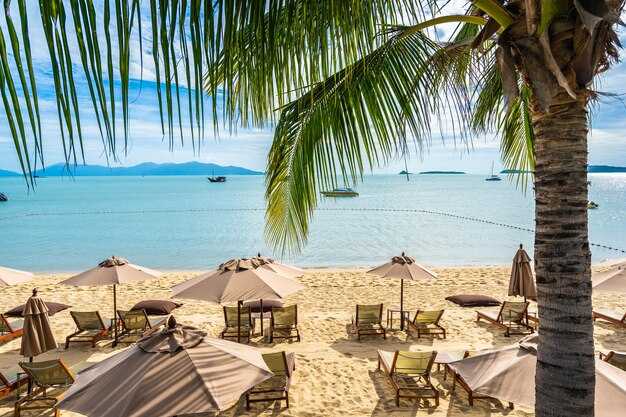 How to use the map to plan the day