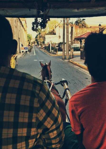 AVCA Insider Perks: How to Access Discounts, Events, and Community Resources