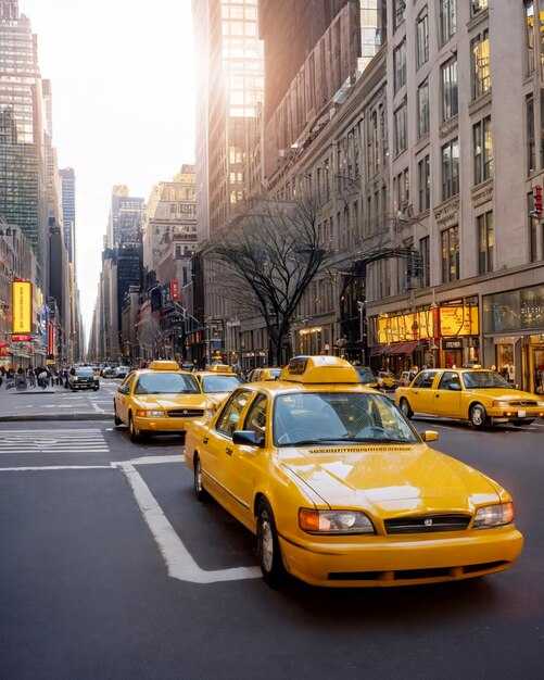 Fleet options: sedans, SUVs, wheelchair-accessible vehicles