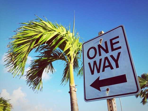 San Diego Travel Guide - Top Attractions and Insider Tips