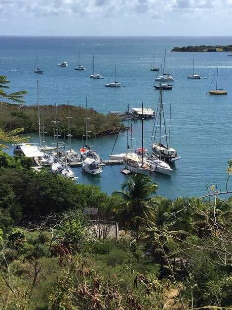 Cruise-friendly tips: timing, safety, hydration, and return to the ship