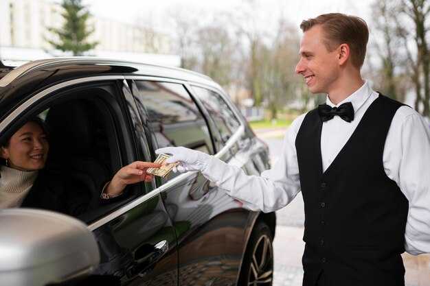 Chauffeur Direkt: Service Scope and Client Profiles