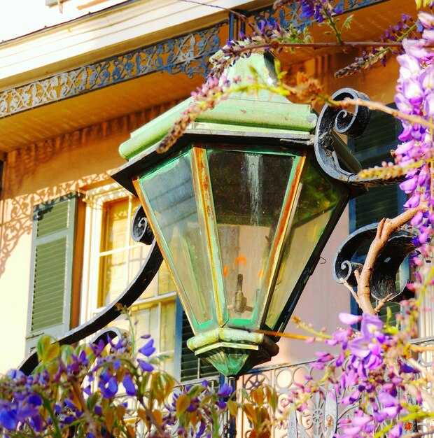 Seasonal Events and Daily Life at Plaza Nueva