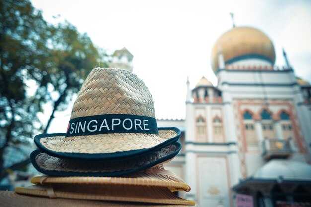 Smart Packing and Weather Prep for Singapore's Climate