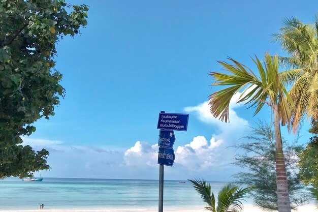 Taxi fare estimates: meters, base fares, and typical ranges