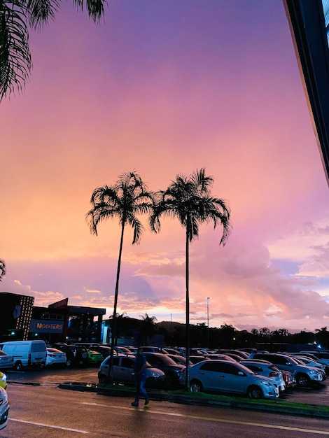 Tampa Airport to Clearwater Beach - Car Service & Shuttle Options