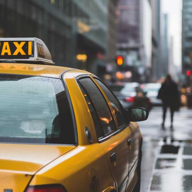 Support and Resolutions: How to Get Help, Refunds, and Issue Handling for Disability Rides