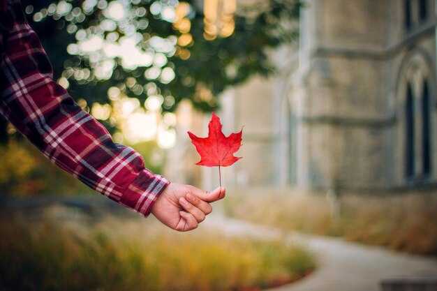 Understanding service charges, receipts, and when to tip