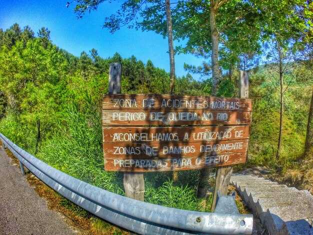 Compare Modes: Bus, Car, Flight, Rideshare, and Private Charter