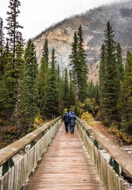 Self-Drive Comfort: Route selection, pacing, and in-vehicle setup