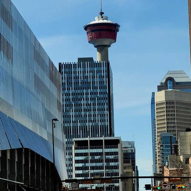 Booking, Verification, and Service Customization for YYZ Clients