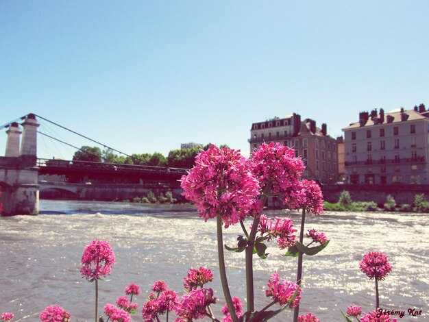 Toulouse – Welcome to the Pink City: A Practical Guide to Visiting France's Colorful Capital