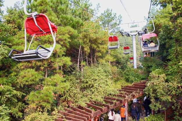 Donkey Ride to Fira: Availability, safety considerations, limits, and recommended routes