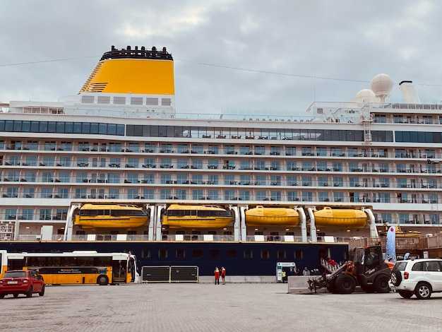 Practical Tips: Luggage, Accessibility, Language Help, and Peak Hour Advice