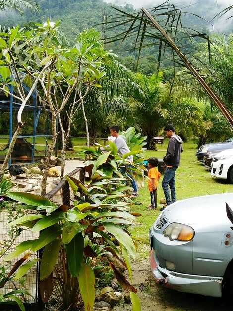 Payments and tipping: practical steps