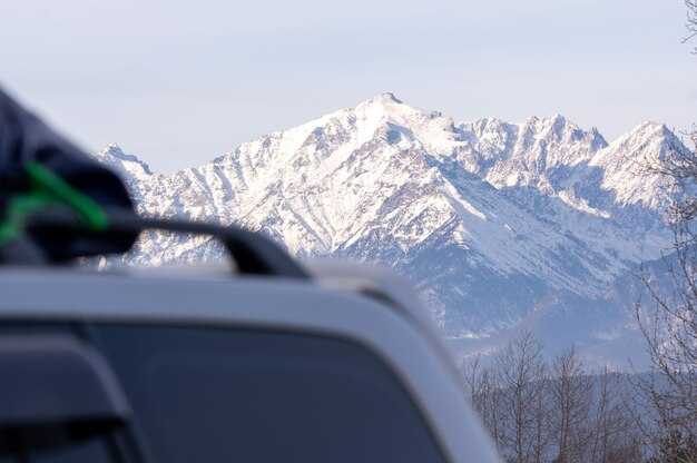 Оперативни кораци за безбедно преузимање