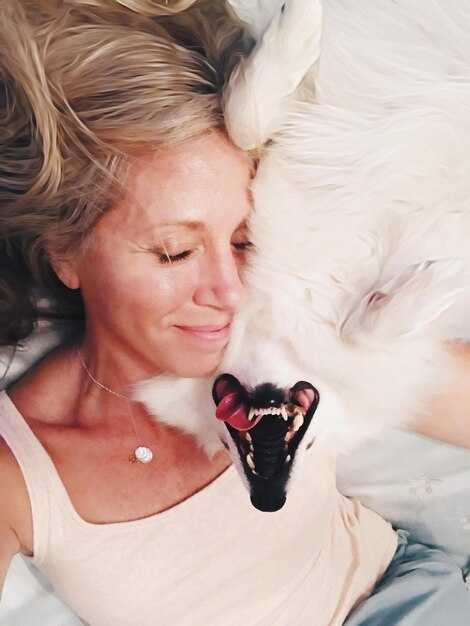 Car, Air, or Train Travel: Selecting the Best Route and Prep Steps