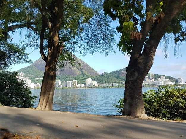 Top Neighborhoods to Practice Capoeira in Rio de Janeiro