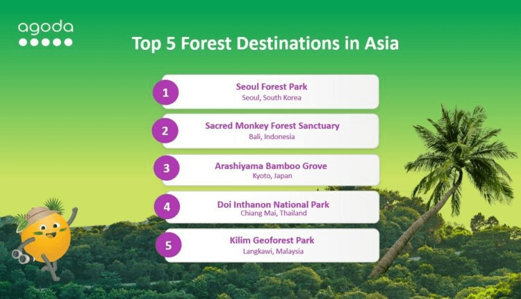 Descubra os melhores retiros florestais na Ásia para uma escapadela na natureza