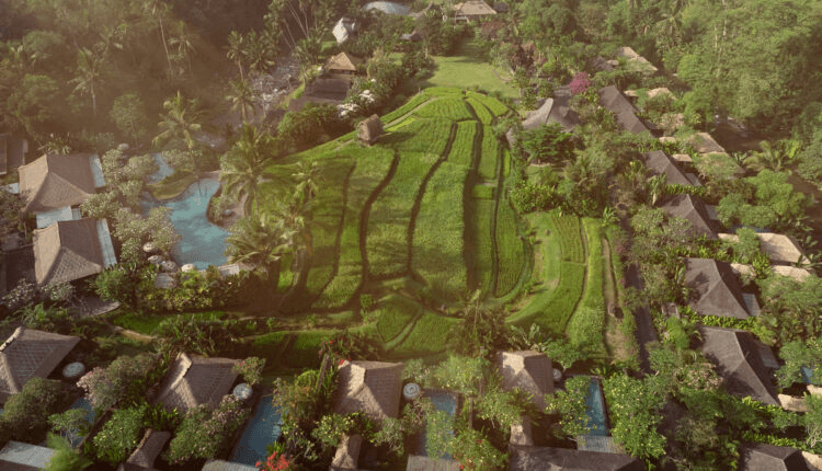 ماندابا، محمية ريتز كارلتون تنضم إلى مجموعة 50 ديسكفري الحصرية من ريتز كارلتون