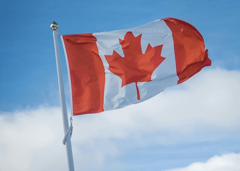 European and Canadian Travel Advisories in Response to US Immigration Changes