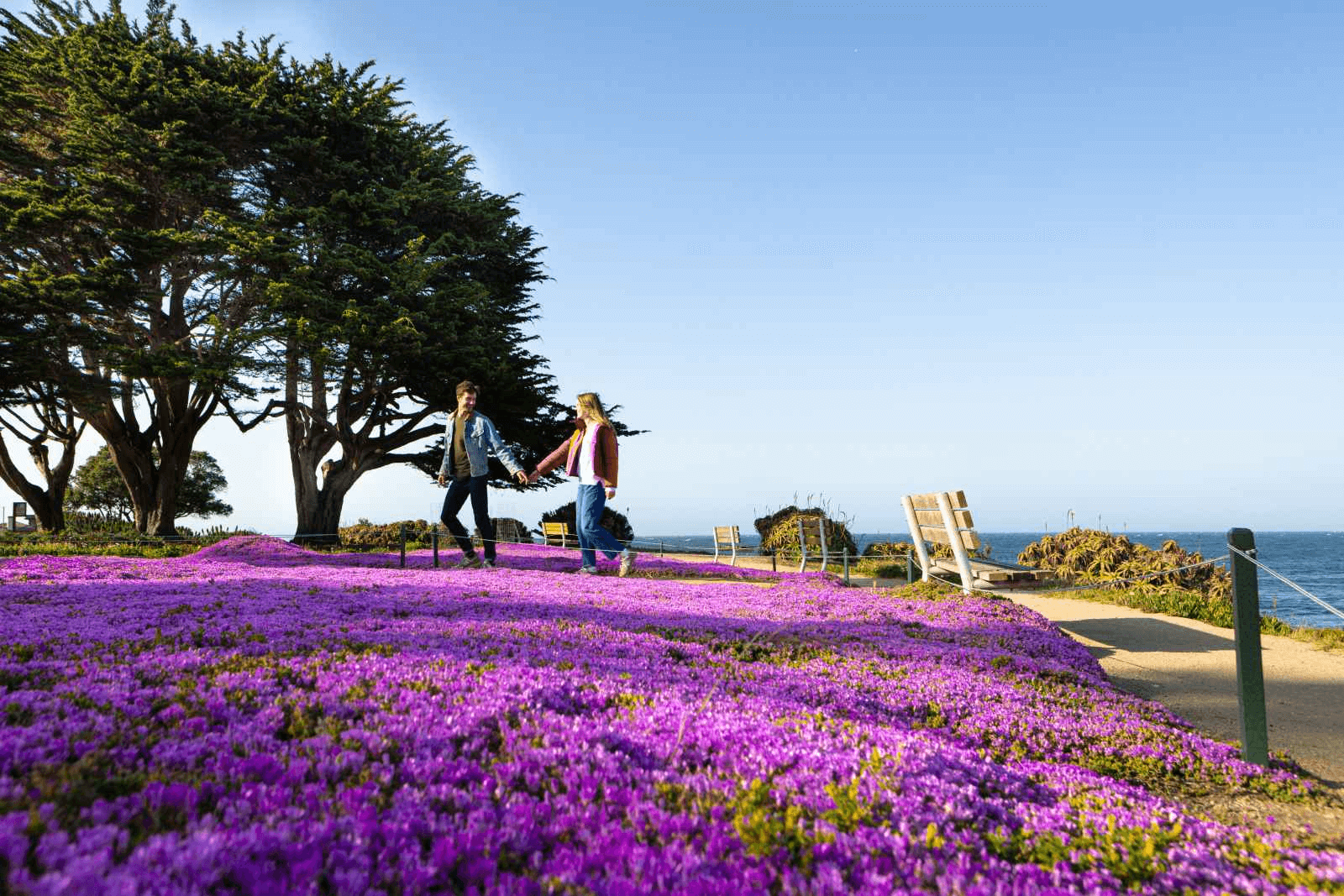 Spring Adventures Await at Monterey's Inns: Stunning Stays and Exciting Offers
