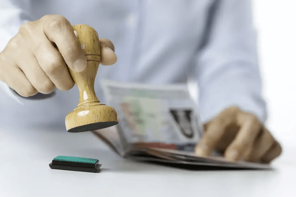 BLS International înregistrează o creștere semnificativă a cererilor de viză în 2024-25