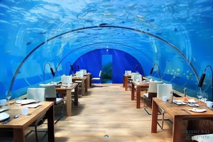 Unique Dining Experiences Luxury Travelers Are Embracing for 2025