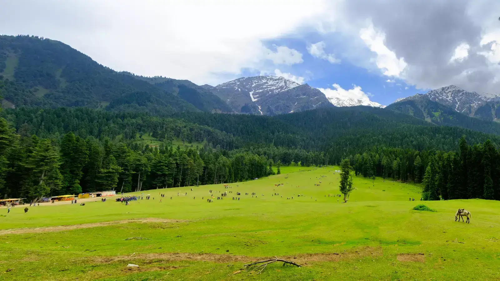 Financial Aid Discussions to Boost Tourism in Kashmir Following Pahalgam Incident