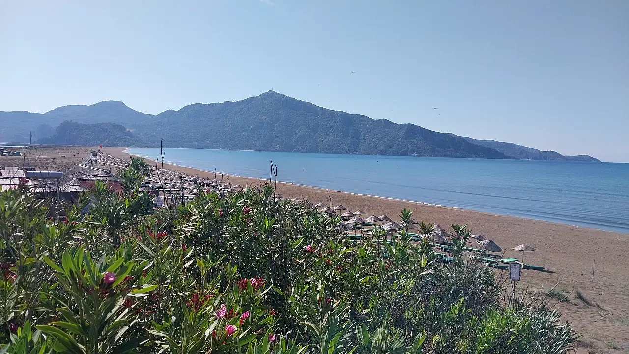 Community Spirit and Conservation in Fethiye: Weekly Highlights