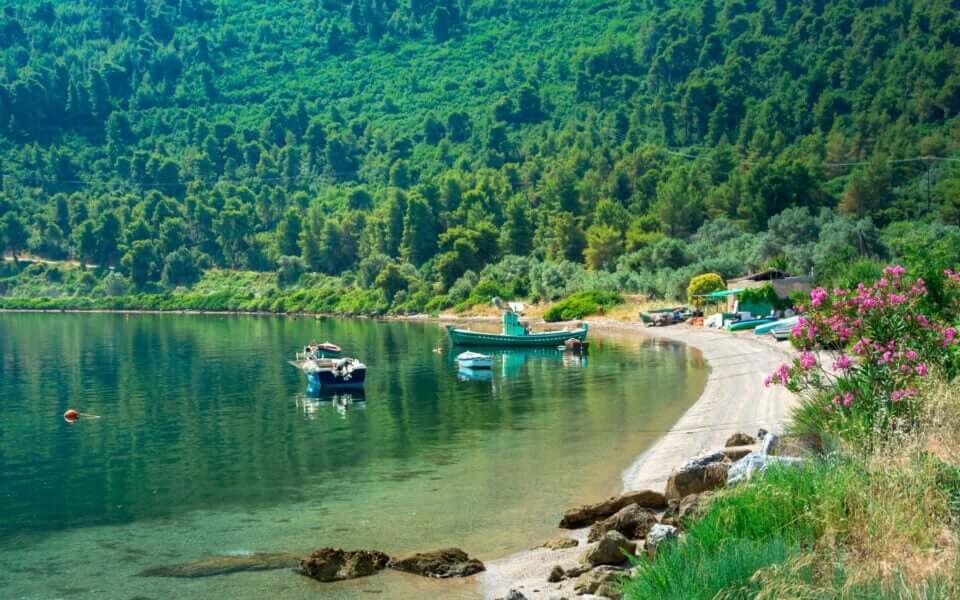 Extended Holiday Assistance Program for Travelers