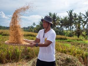 Meaningful Journeys: The Rise of Purposeful Travel in Rice Farming