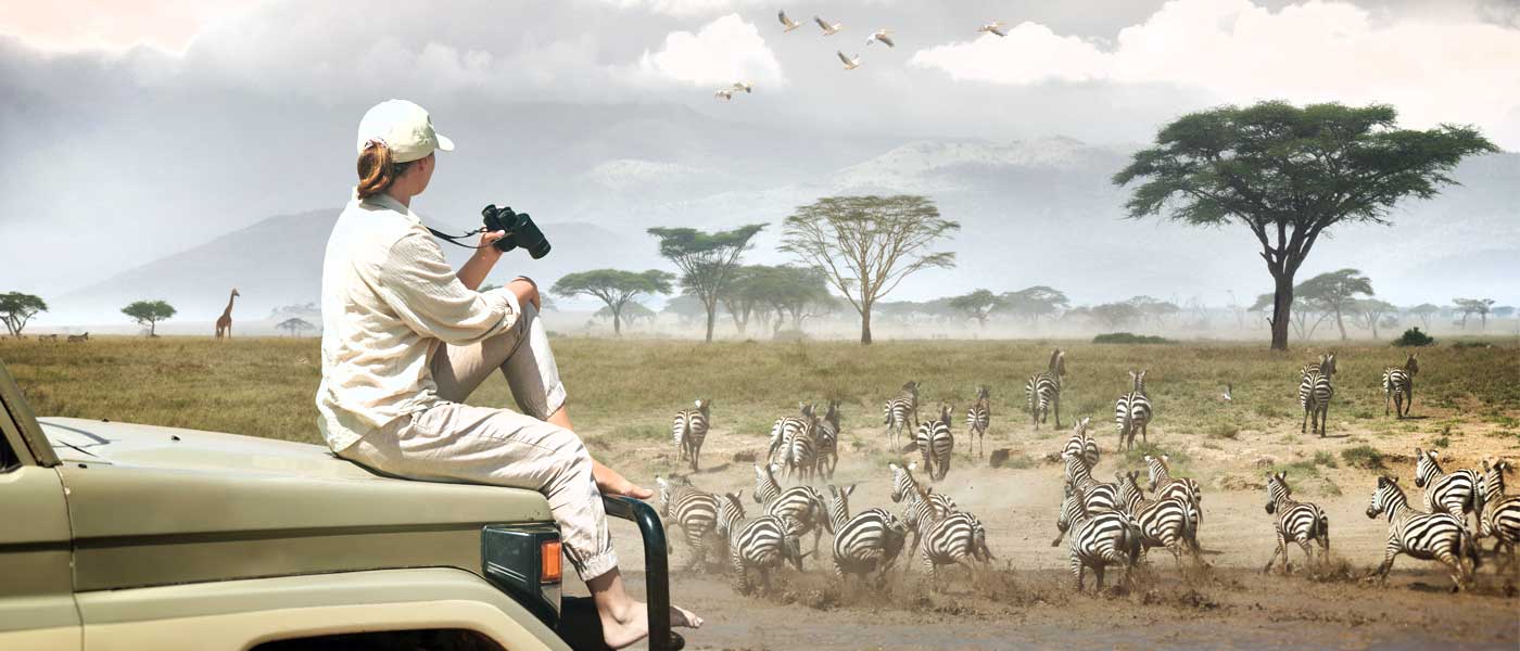 Discover Tanzania’s Stunning Landscapes through Custom Safari Packages for Your Ideal Adventure