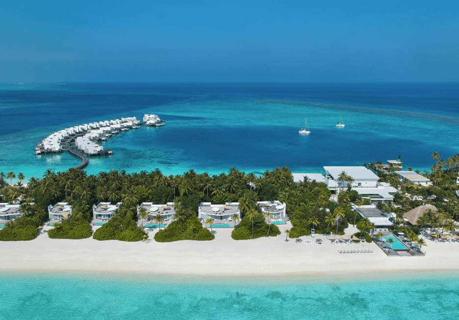 Discover Unique Wildlife Encounters with Jumeirah