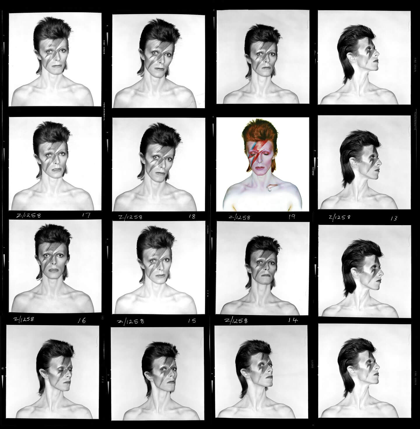 Discover the David Bowie Centre: Key Insights and Highlights