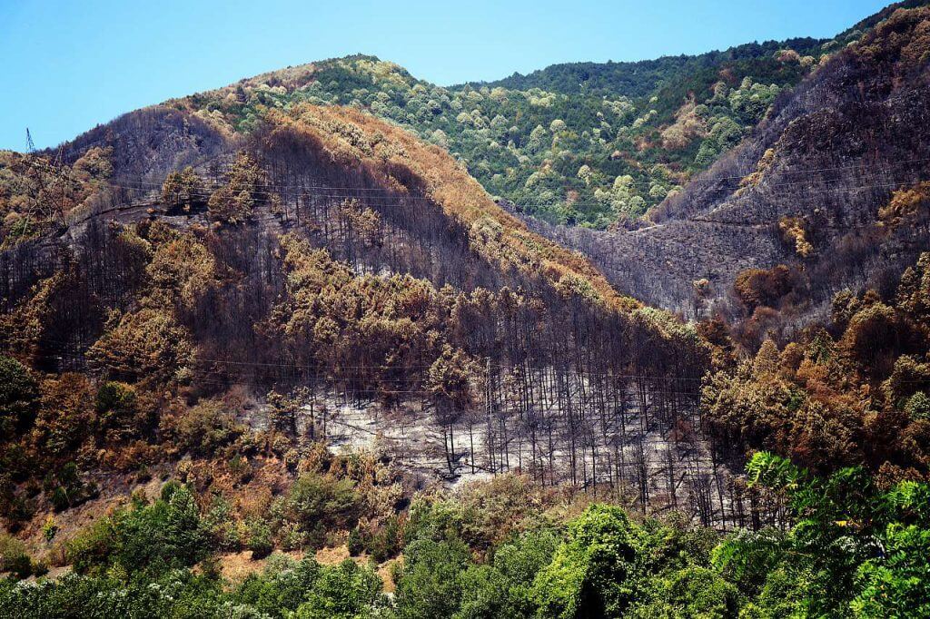 Fethiye's Community Efforts: Sustainability and Tourism Updates