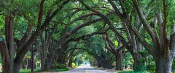 Lucruri interesante de făcut în Aiken, Carolina de Sud