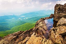 Fun Things to Do in Shenandoah National Park: Your Complete Guide