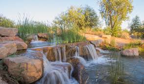 Lucruri de făcut în Chandler AZ: Explorează cele mai bune atracții