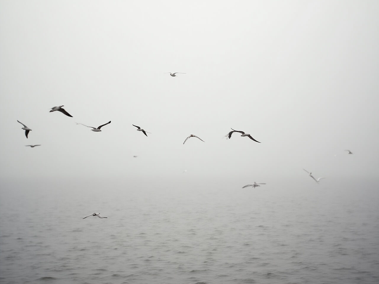 Must-See Things to Do in South Padre Island