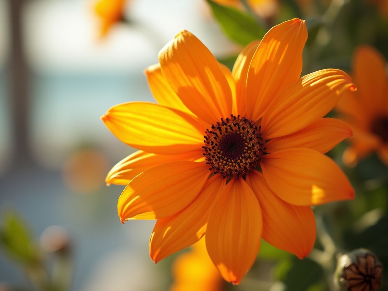 Top lucruri de făcut în Freeport Bahamas